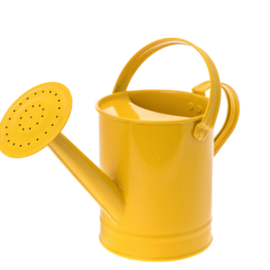 Watering Can